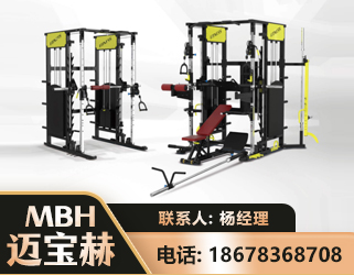 资阳多功能综合训练器
