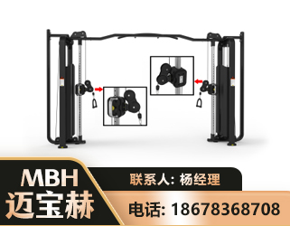资阳大飞鸟训练器