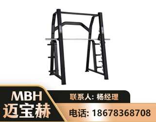 资阳史密斯机